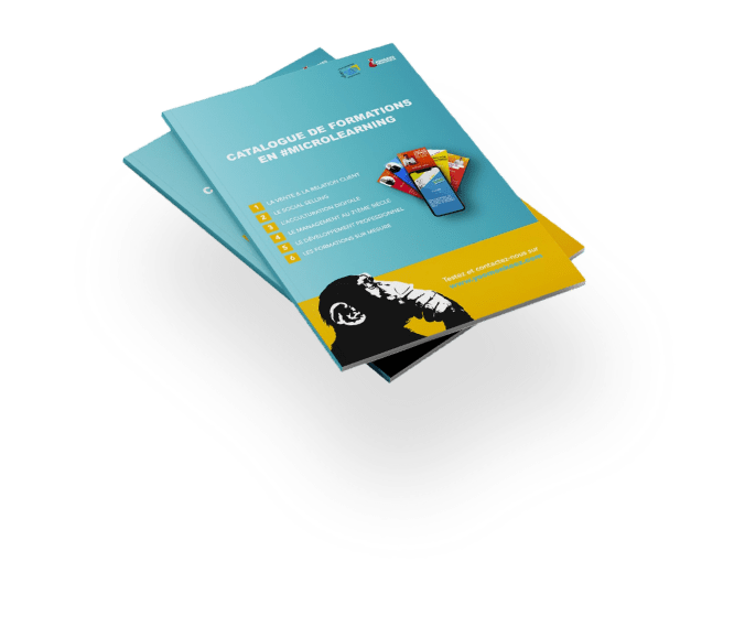 Catalogue microlearning